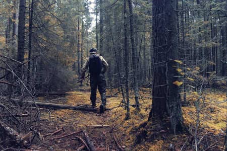 Купить диплом Егеря, лесника в Уссурийске